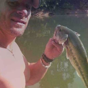 Meet your Posher, Branches